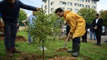Milli Ağaçlandırma Günü’nde Tuzla’dan Atatürk’e yeşil vefa Tuzla’da Atatürk anısına fidanlar toprakla buluşturuldu