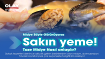 MİDYEYE DİKKAT!