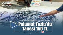 TUZLA'DA BİR TANE PALAMUT 150 TL