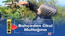 SİBEL KARAMIK’IN ŞİLE’DEKİ BAHÇESİNDEN ANAOKULU MUTFAKLARINA