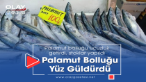SEZONUN EN UCUZ PALAMUDU TEZGÂHLARDA